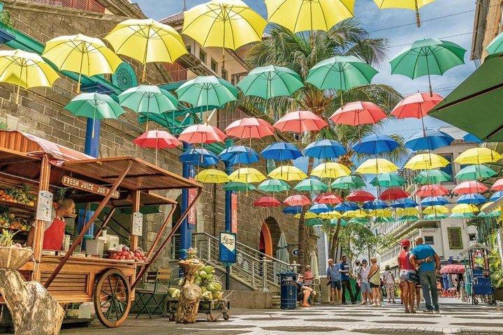 North Mauritius Highlights Tour with Guide and Transfers