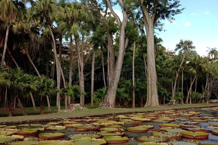 North Mauritius Highlights Tour with Guide and Transfers