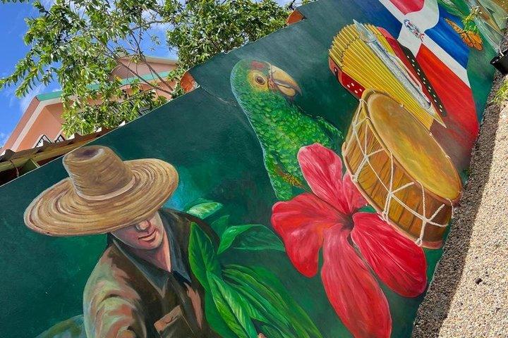Monkeys and Puerto Plata City Tour