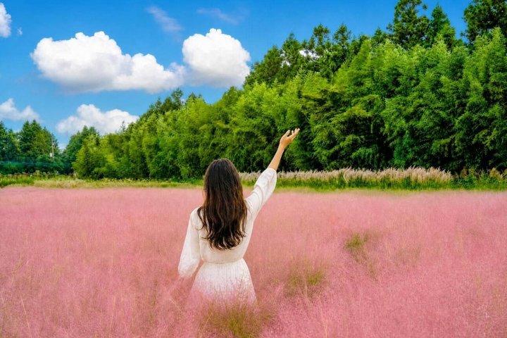 3 Day Bus Tour in Jeju UNESCO East, South and West Highlights