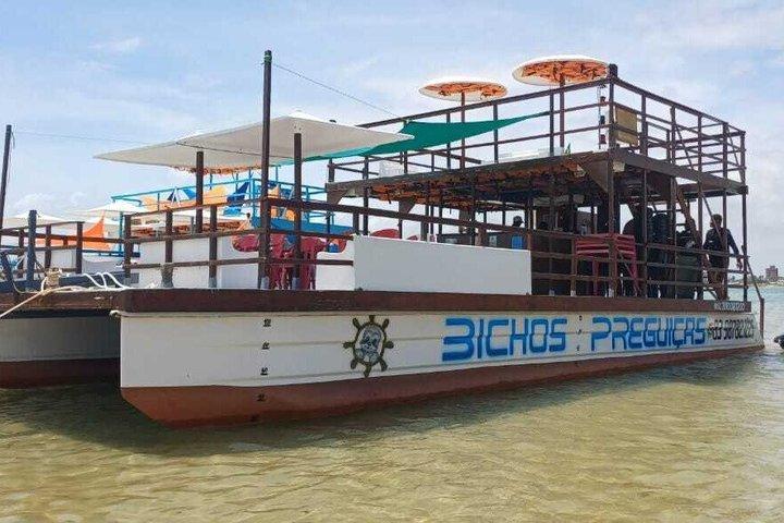 Catamaran trip to Red Sand João Pessoa