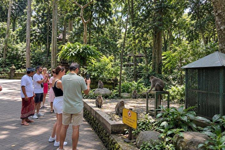 ウブドの棚田、滝、寺院を巡るオールインクルーシブツアー