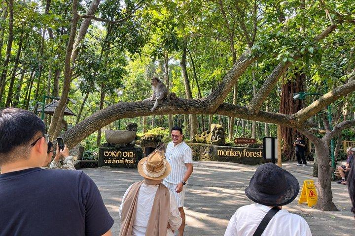 ウブドの棚田、滝、寺院を巡るオールインクルーシブツアー