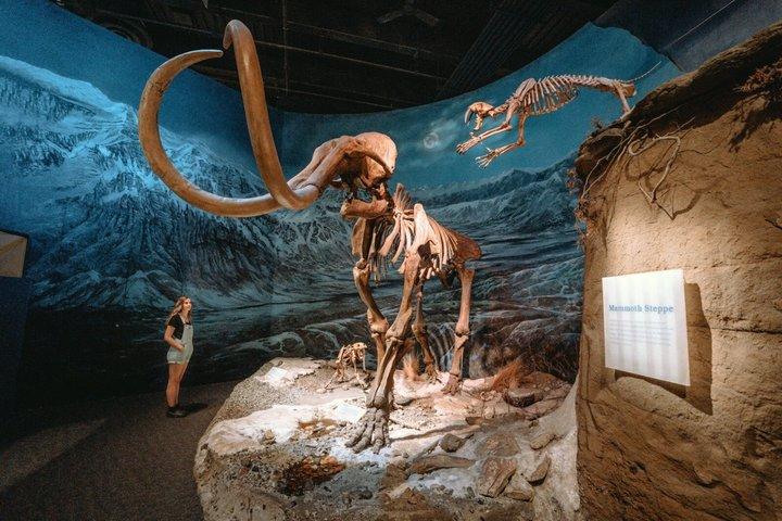 Drumheller Badlands and Dinosaurs Private Tour