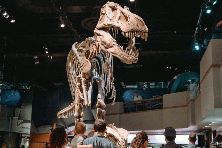 Drumheller Badlands and Dinosaurs Private Tour