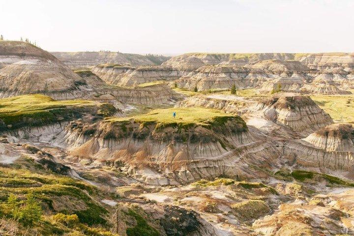 Drumheller Badlands and Dinosaurs Private Tour