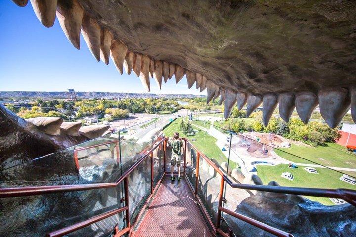 Drumheller Badlands and Dinosaurs Private Tour