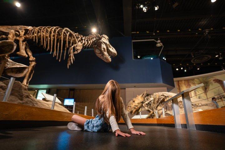 Drumheller Badlands and Dinosaurs Private Tour