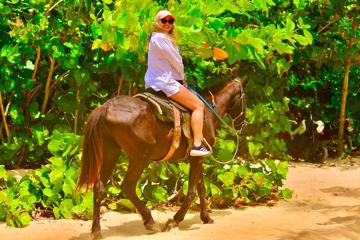 Reiten in Punta Cana & Stranderlebnis in Macau