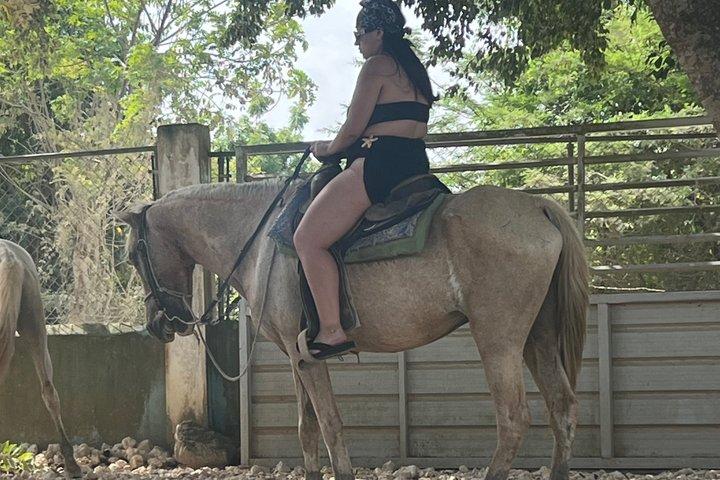 Reiten in Punta Cana & Stranderlebnis in Macau