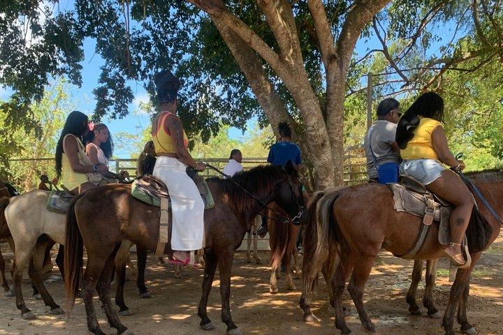 Reiten in Punta Cana & Stranderlebnis in Macau