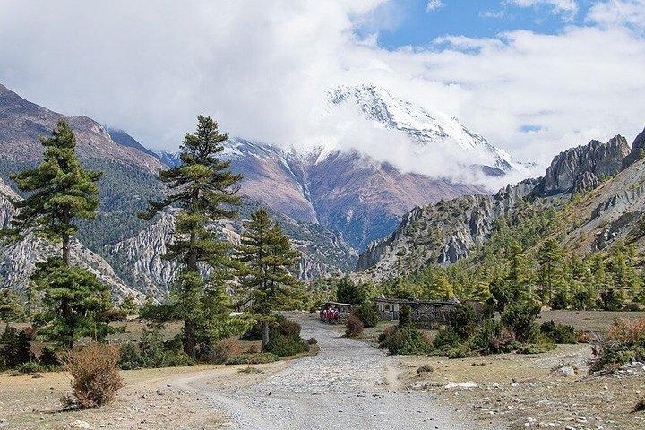 5-Day Private 4WD Jeep Tour to Manang Valley from Pokhara