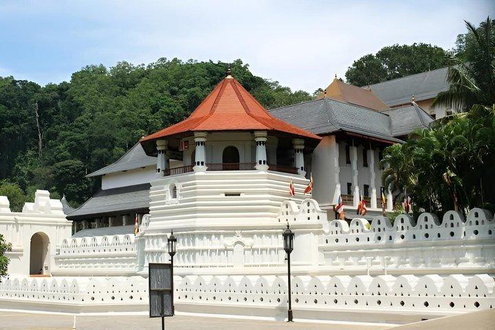Kandy City Tuk Tuk Tour