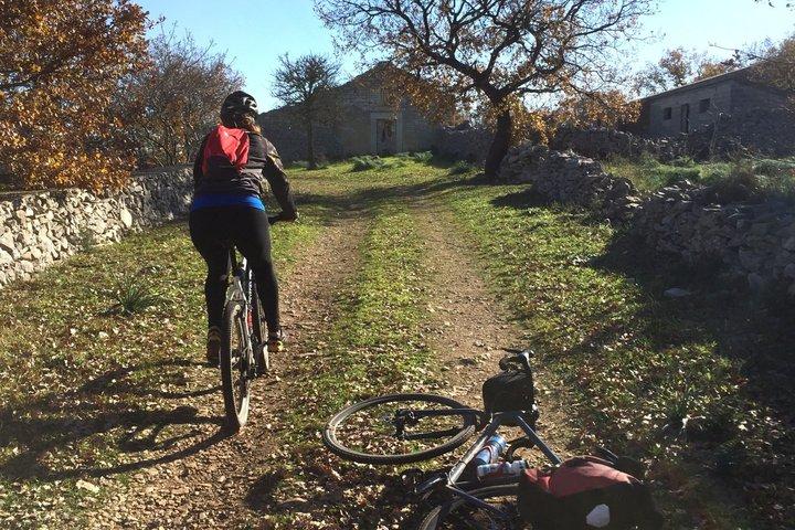 アルタ・ムルジアを自転車で巡る:30kmの中級ツアー