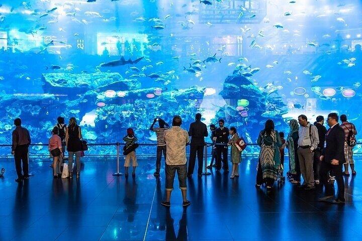 ドバイモール水族館水中動物園
