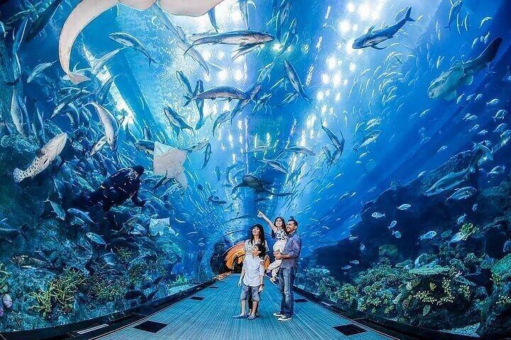 ドバイモール水族館水中動物園
