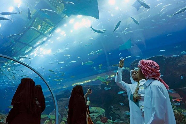ドバイモール水族館水中動物園