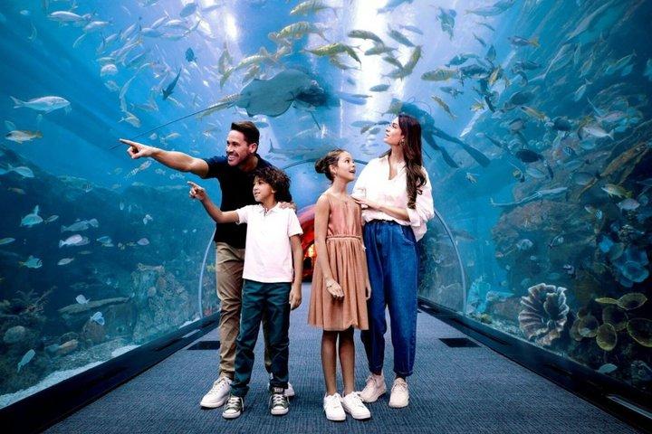 ドバイモール水族館水中動物園
