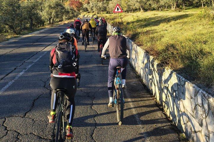 自転車で巡るアルタ・ムルジア：22kmの気軽なツアー