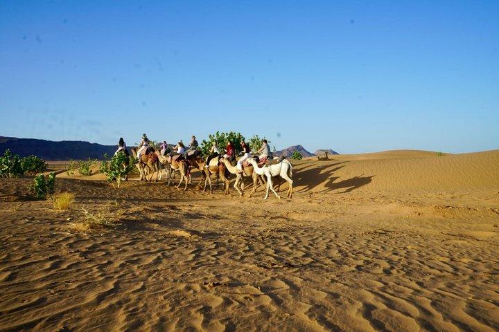 2-Day, 1-Night Zagora Desert Tour – Group & Private Options