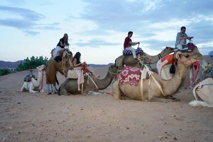 2-Day, 1-Night Zagora Desert Tour – Group & Private Options