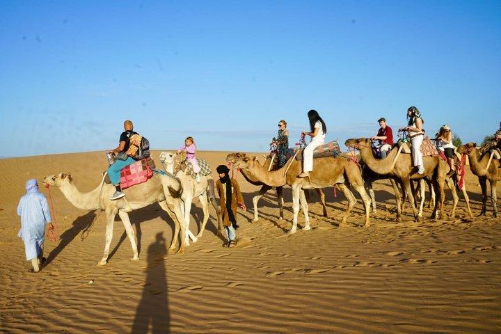 2-Day, 1-Night Zagora Desert Tour – Group & Private Options