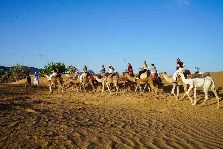 2-Day, 1-Night Zagora Desert Tour – Group & Private Options