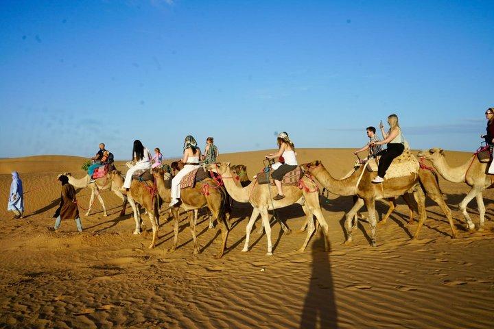 2-Day, 1-Night Zagora Desert Tour – Group & Private Options