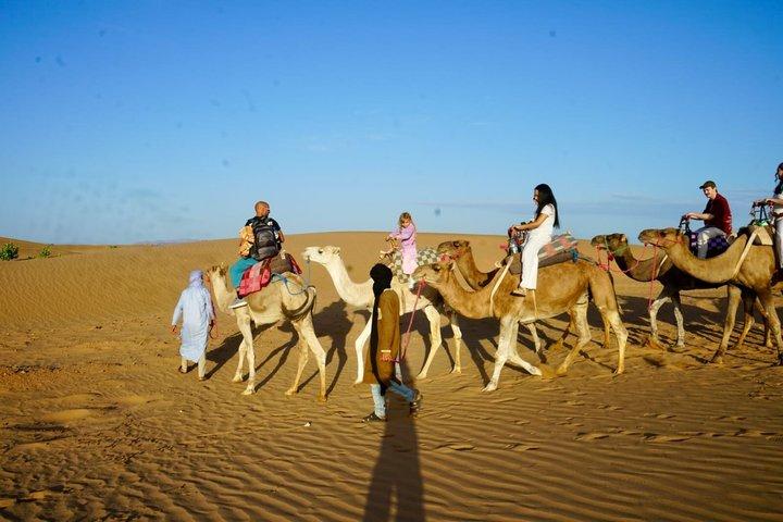 2-Day, 1-Night Zagora Desert Tour – Group & Private Options