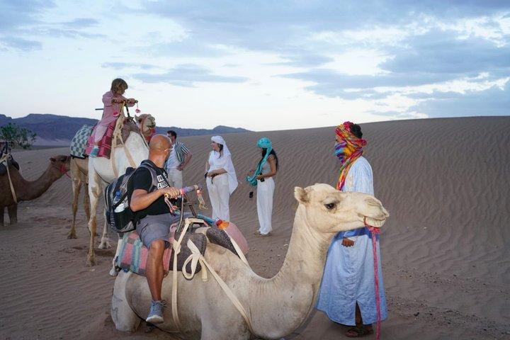 2-Day, 1-Night Zagora Desert Tour – Group & Private Options