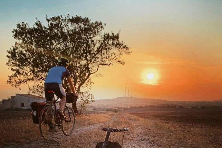 アルタ・ムルジアを自転車で巡る：挑戦的な45kmのツアー