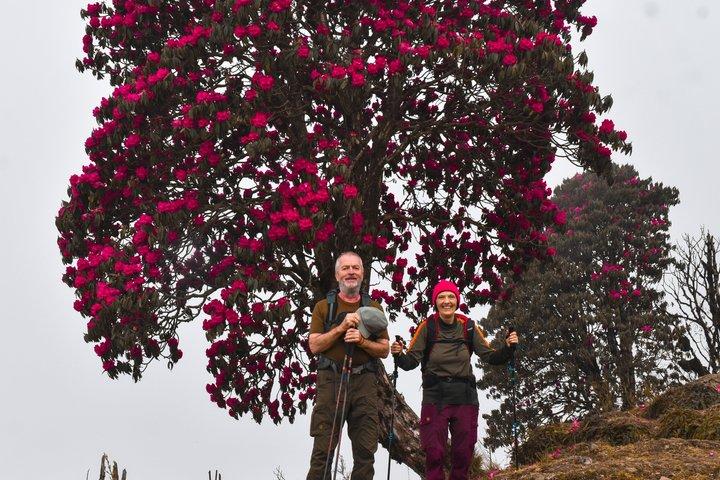 Darjeeling Singalila Sandakphu Circuit Trek