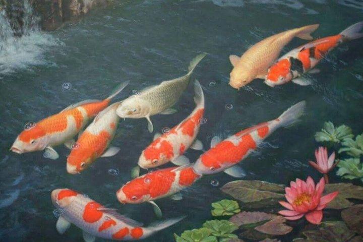 ドバイ バタフライガーデン 一日券