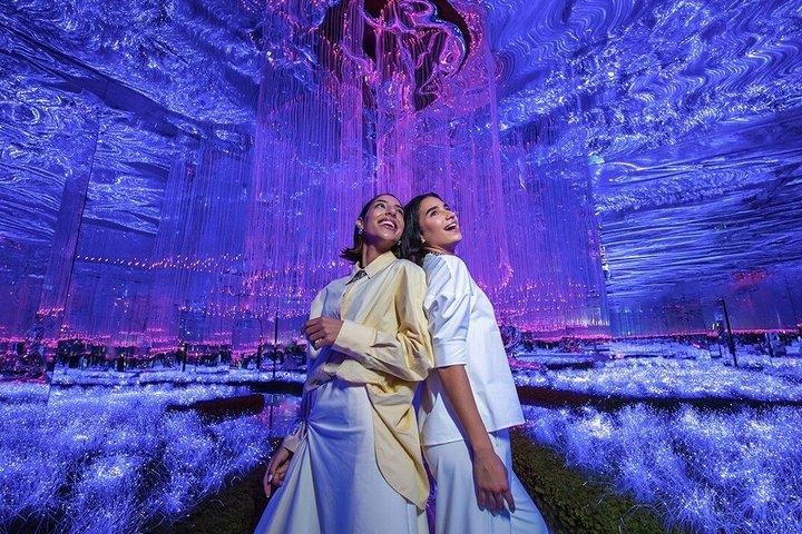 AYAユニバースドバイ＆ハウス・オブ・ハイプドバイのチケット