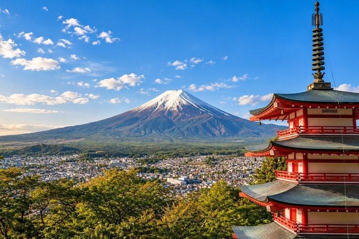 東京から富士山プライベート日帰りツアー、河口湖、忍野八海