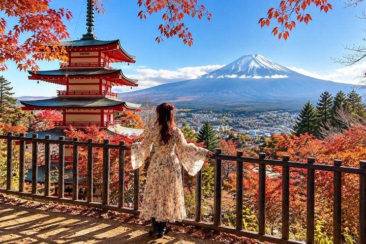東京から富士山プライベート日帰りツアー、河口湖、忍野八海