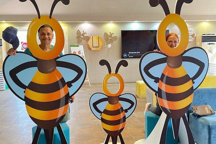 ハッタ山ツアー ダム カヤック ワディ ハブ ヘリテージビレッジ ヒルパーク