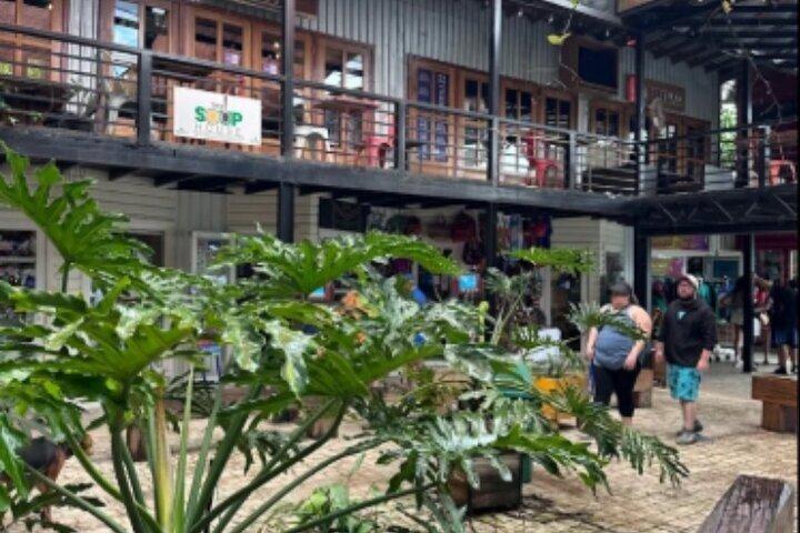 Roatán Coffee & Chocolate Tasting with Island Views