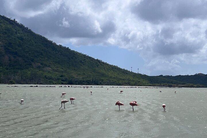 Hato Cave, Wild & Blue Escape