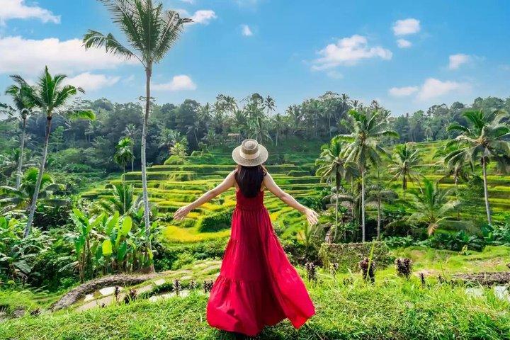 Bali Private Car Charter Flexible Tour with Local Driver