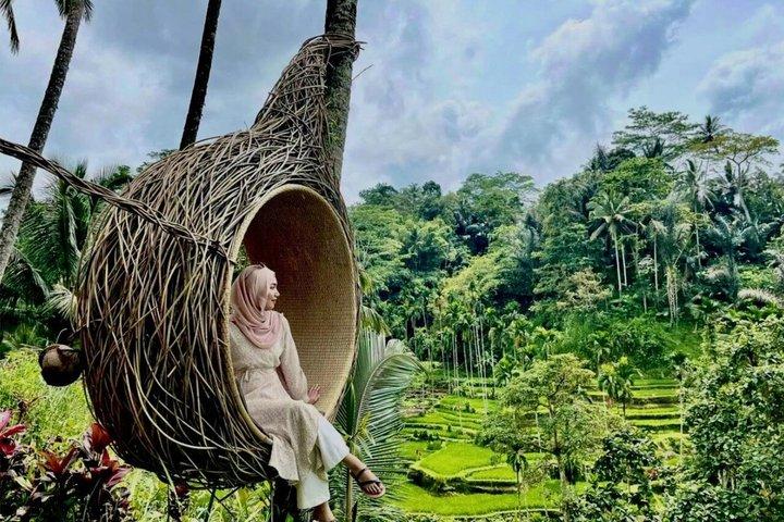 Bali Private Car Charter Flexible Tour with Local Driver