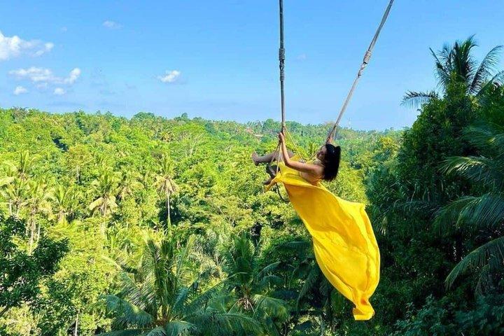 Bali Private Car Charter Flexible Tour with Local Driver