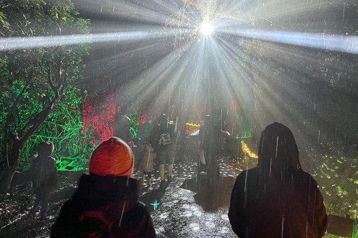 ロンドン発 ストーンヘンジ＆ウィンザー クリスマスプライベート豪華ツアー