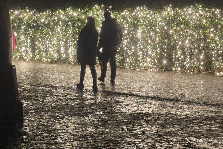 ロンドン発 ストーンヘンジ＆ウィンザー クリスマスプライベート豪華ツアー