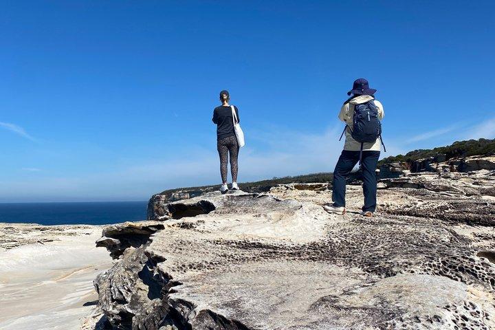 Sydney: Royal National Park Small Group Hike, Swim, Picnic
