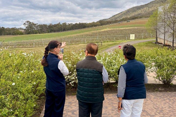 Premium Hunter Valley Private Wine Tour from Sydney