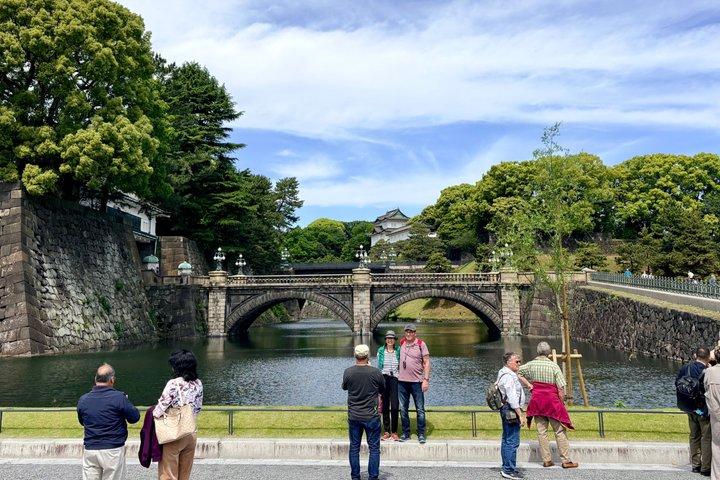ミニバンと現地ガイドによる東京市内ハイライトツアー