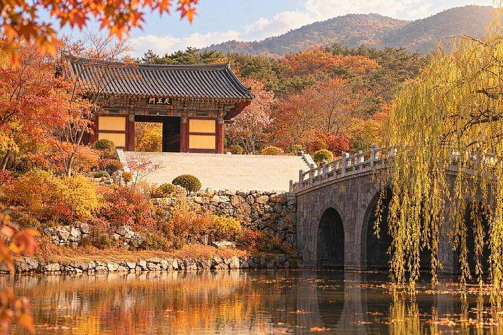 釜山または慶州からのドアツードアサービス付き慶州ユネスコ
