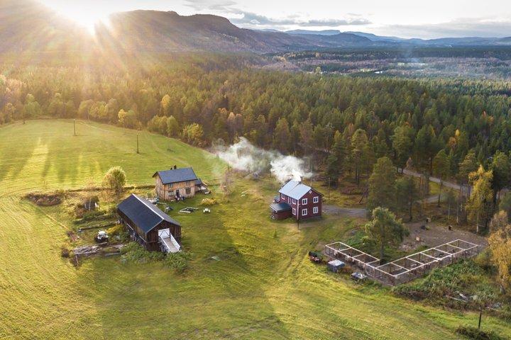 Private Husky-Tour: Fahren oder Mitfahren – 2 Std. von Tromsø