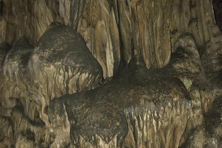 コスタ・デル・ソル発、ジブラルタルへの日帰り旅行（岩石ツアー付き）